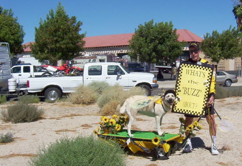 Ridgecrest 2005